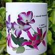 mug DS-111 Clematis viticella 'Walenburg, C. texensis 7160.jpg